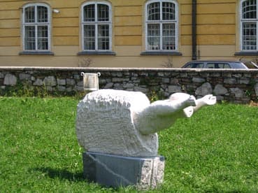 Zorni kot-tok